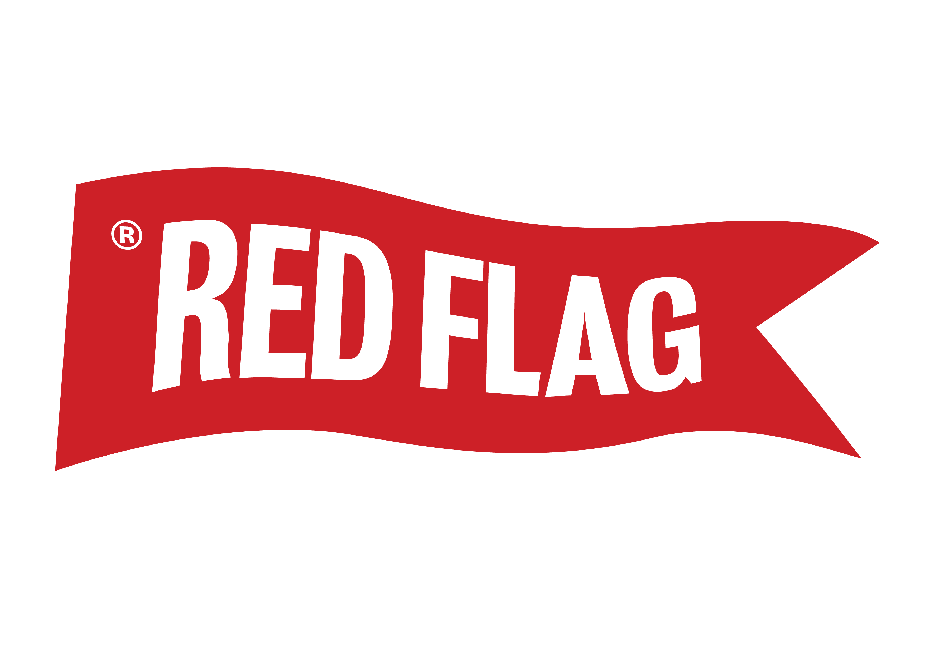 Red Flag Consulting