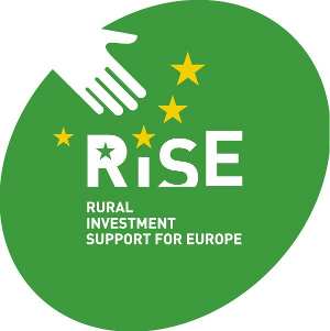 RISE Foundation