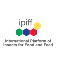 IPIFF