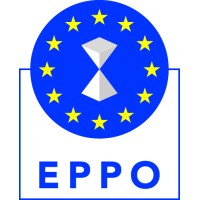 European Public Prosecutor's Office (EPPO)
